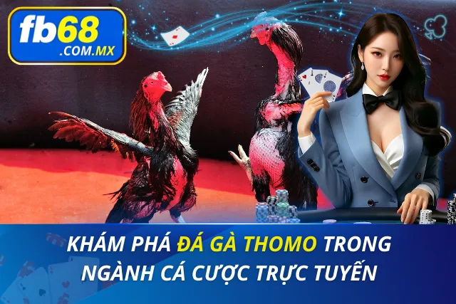 Đá Gà Thomo
